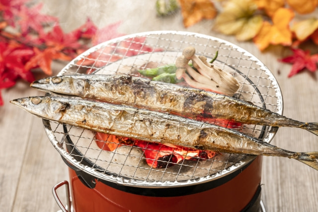 お酒が進む和食の数々。煮付け、塩焼き、天ぷらで素材の味を堪能