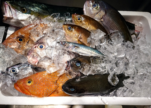 市場直送の鮮度。その日最も美味しい魚を職人が厳選して提供
